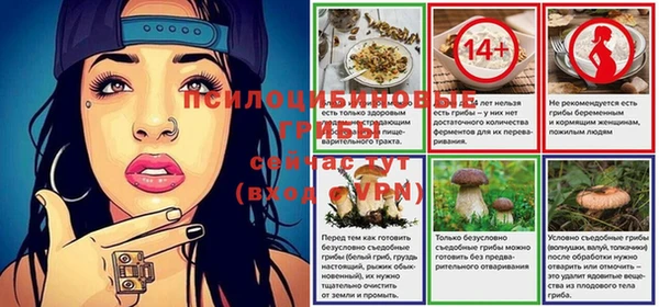 спайс Магас