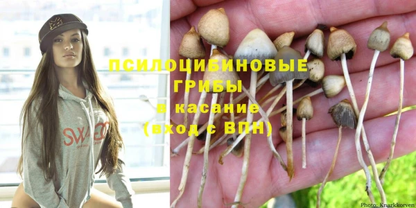 шишки Лихославль