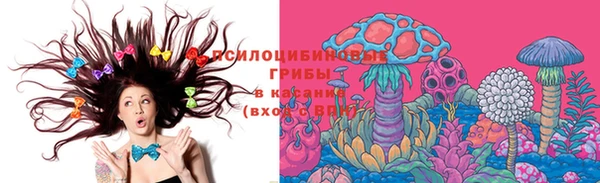 спайс Магас