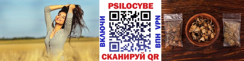 Псилоцибиновые грибы ЛСД  Купить  Фёдоровский 